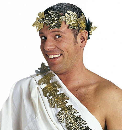 e-carnavalskleding-SYK Lauwerkrans goud budget