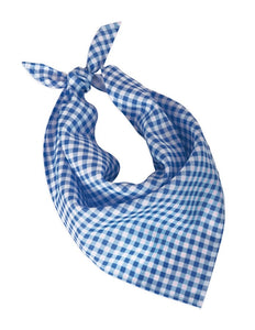 e-carnavalskleding-SYK Oktoberfest sjaaltje  blauw/wit