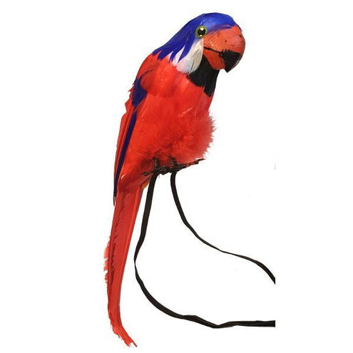 e-carnavalskleding-SYK Papegaai decoratief rood