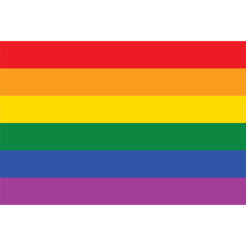 e-carnavalskleding-SYK Regenboogvlag 150x90cm