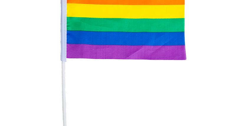 e-carnavalskleding-SYK Regenboogvlag 21x14cm