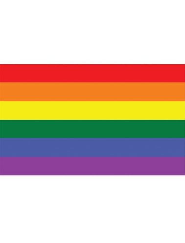e-carnavalskleding-SYK Regenboogvlag