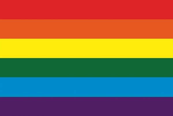 e-carnavalskleding-SYK Regenboogvlag