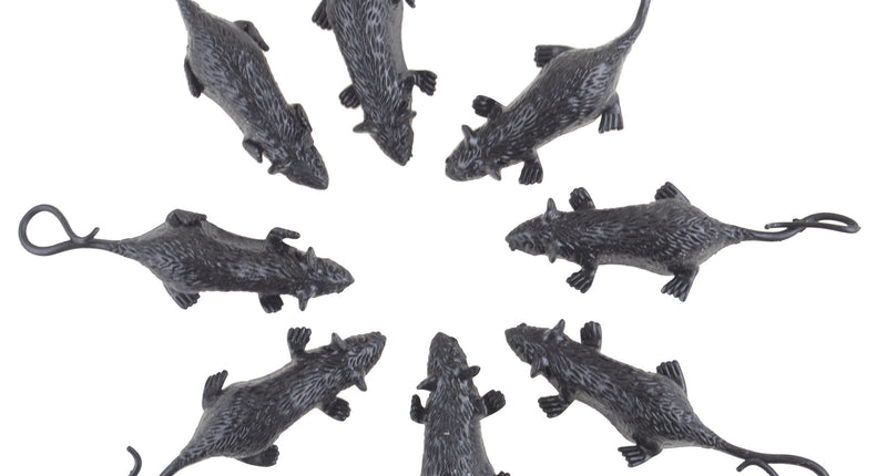 e-carnavalskleding-SYK Set 8 dieren halloween spin vleermuis en muis