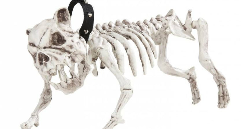 e-carnavalskleding-SYK Skelet van een hond