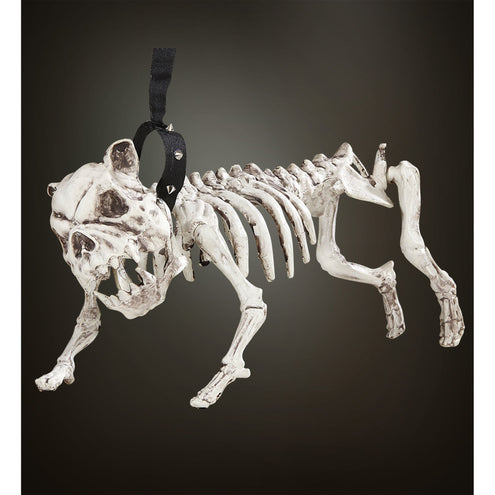 e-carnavalskleding-SYK Skelet van een hond