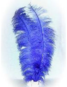 e-carnavalskleding-SYK Spadonis veer blauw ± 50cm per stuk