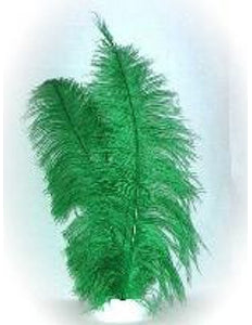 e-carnavalskleding-SYK Spadonis veer groen ± 50cm per stuk