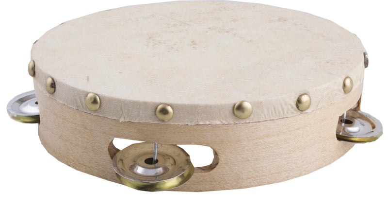 e-carnavalskleding-SYK Tamboerijn instrument