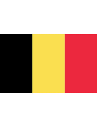 e-carnavalskleding-SYK Vlag 150x300cm België