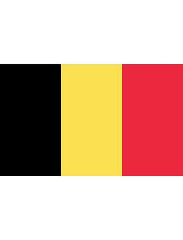 e-carnavalskleding-SYK Vlag 150x300cm België