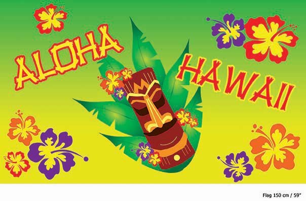 e-carnavalskleding-SYK Vlag Aloha