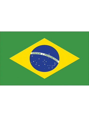 e-carnavalskleding-SYK Vlag Brazilië