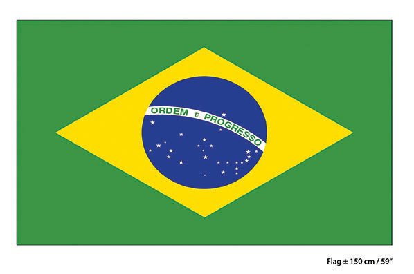 e-carnavalskleding-SYK Vlag Brazilië