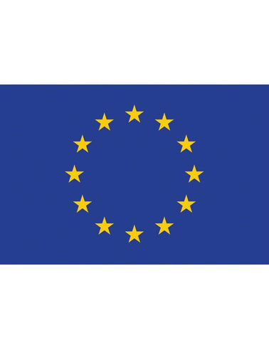 e-carnavalskleding-SYK Vlag Europa