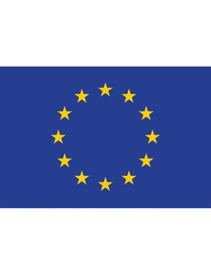 e-carnavalskleding-SYK Vlag Europa