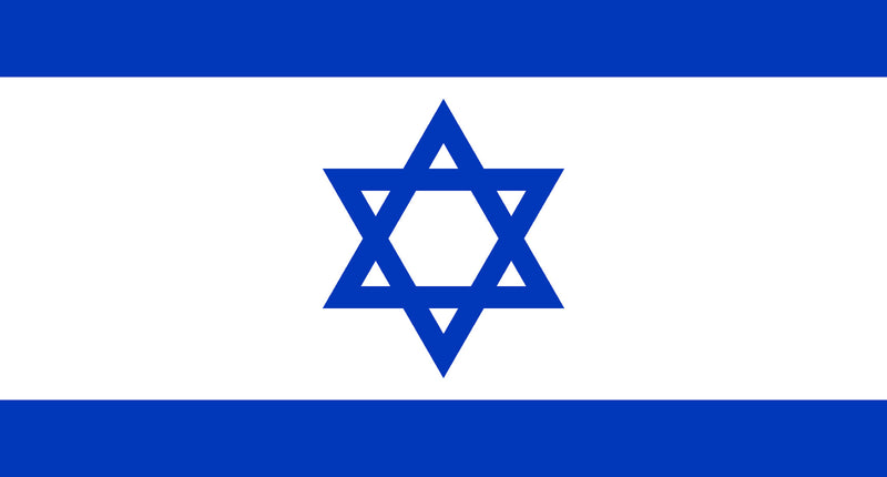 e-carnavalskleding-SYK Vlag Israël