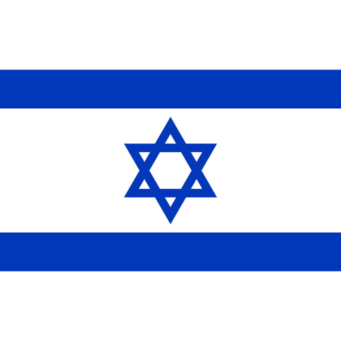 e-carnavalskleding-SYK Vlag Israël