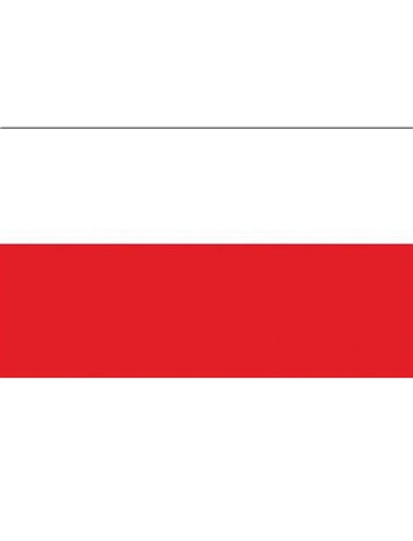 e-carnavalskleding-SYK Vlag Polen