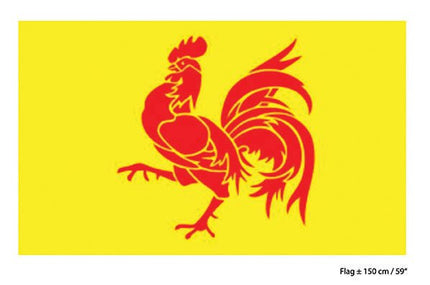 e-carnavalskleding-SYK Vlag Waalse haan