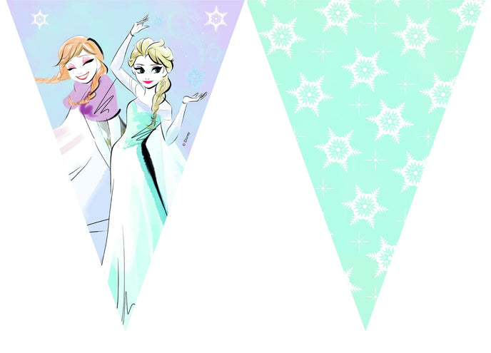 e-carnavalskleding-SYK Vlaggenlijn Frozen Sparkle 9 vlaggen