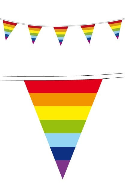 e-carnavalskleding-SYK Vlaggenlijn regenboog kleuren 10 meter