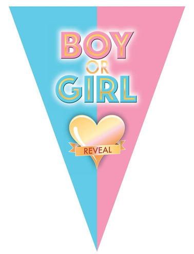 e-carnavalskleding-SYK Vlaggenlijn slinger Gender Reveal 5mtr.