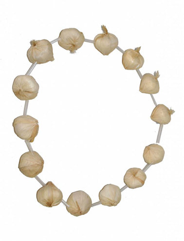 Funny Fashion Halsketting met knoflook