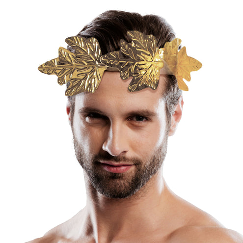 Funny Fashion Lauwerkrans goud budget