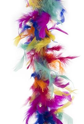 Funny Fashion Veren boa in gemixte kleuren 45gram