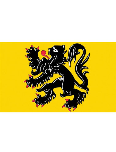 Funny Fashion Vlag Vlaamse leeuw