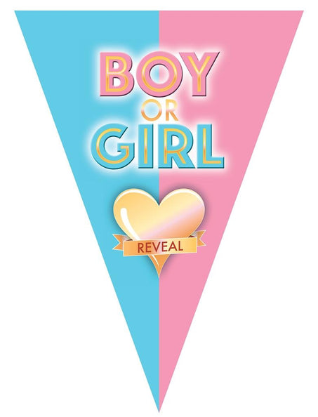 Funny Fashion Vlaggenlijn slinger Gender Reveal 5mtr.