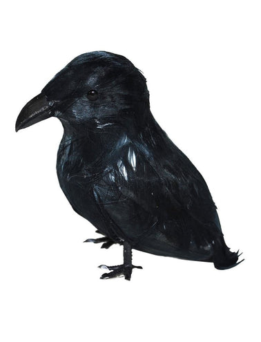 Funny Fashion Zwarte kraai voor Halloween