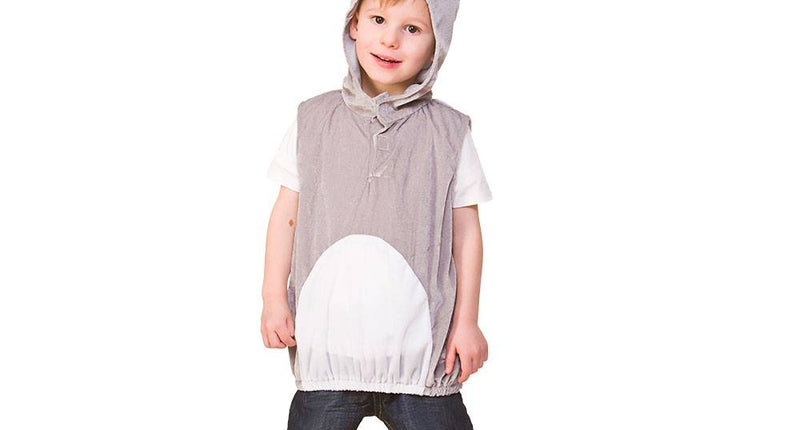 Wicked Costumes Ezel pakje pak Evy