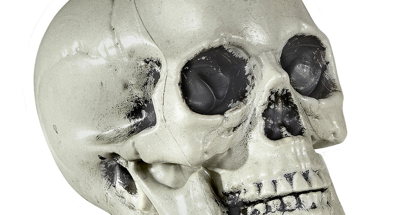 Widmann SRL Nep schedel plastic 21cm