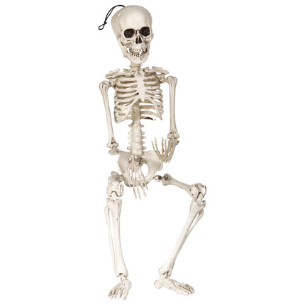 Widmann SRL Nep skelet 50cm