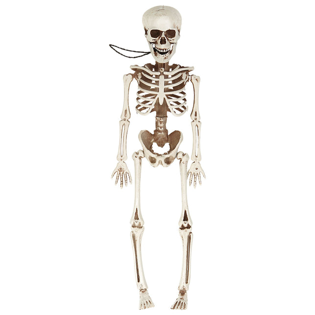 Widmann SRL POSEERBAAR SKELET 40CM